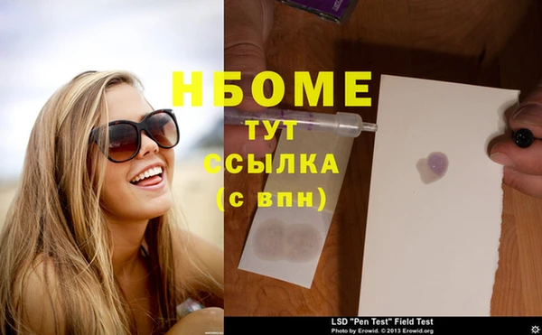индика Абинск