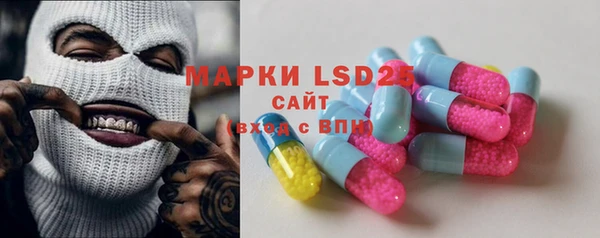 индика Абинск