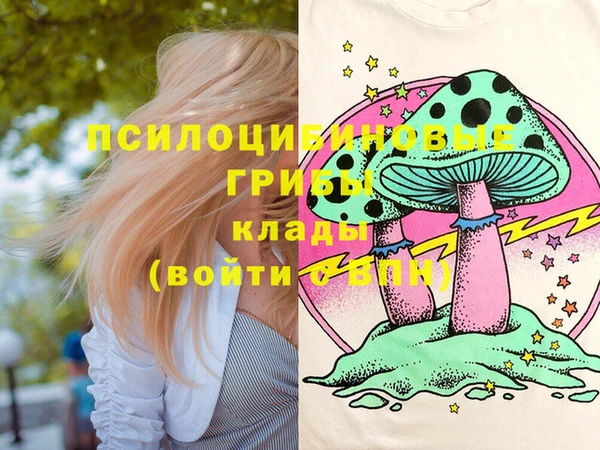 индика Абинск