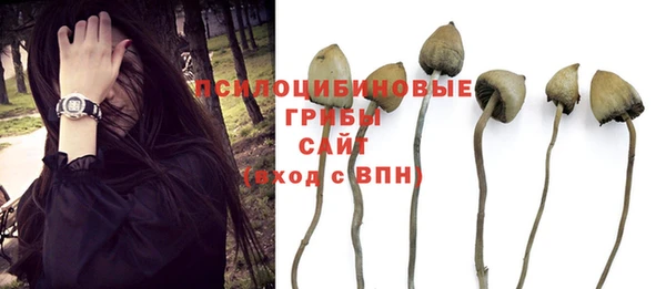 синтетический гашиш Абдулино