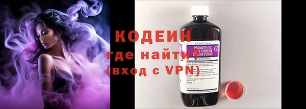 ГАЛЛЮЦИНОГЕННЫЕ ГРИБЫ Абаза