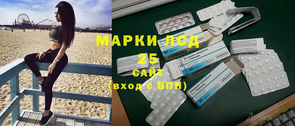индика Абинск