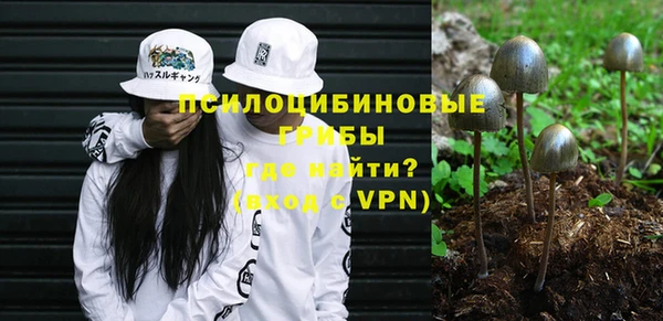 индика Абинск