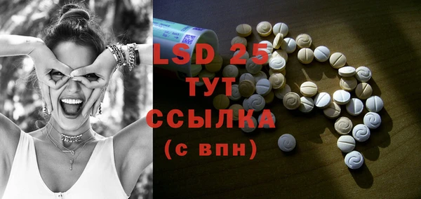 ГАЛЛЮЦИНОГЕННЫЕ ГРИБЫ Абаза