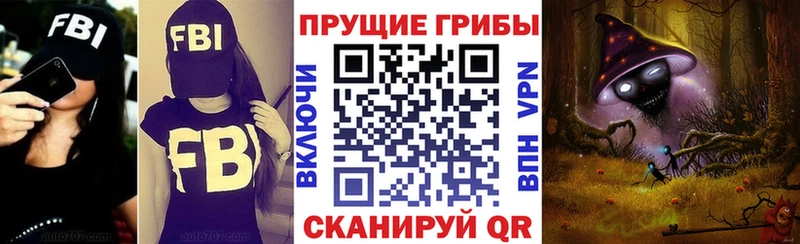 Псилоцибиновые грибы GOLDEN TEACHER  Туран 